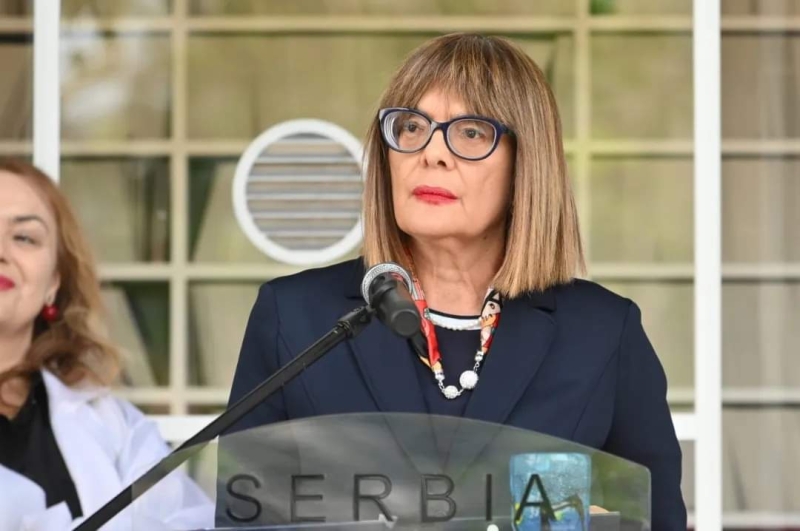 Gojković: Paviljon Srbije na Bijenalu u Veneciji dobro ocenjen